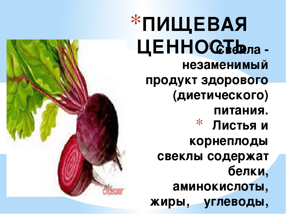 Презентация "Всё про свеклу"