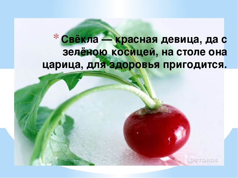 Презентация "Всё про свеклу"