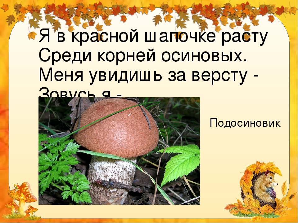 Растет среди. Презентация грибы для дошкольников. Грибное лукошко презентация. Загадки про грибы для презентации. Загадка про подосиновик.