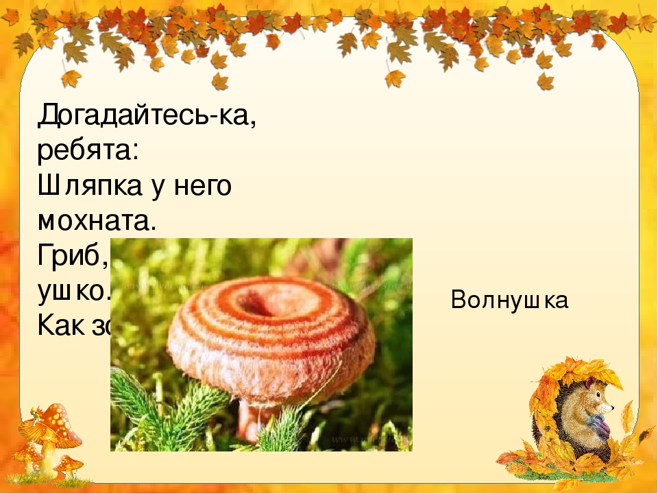 Презентация "Грибы в стихах и картинках"