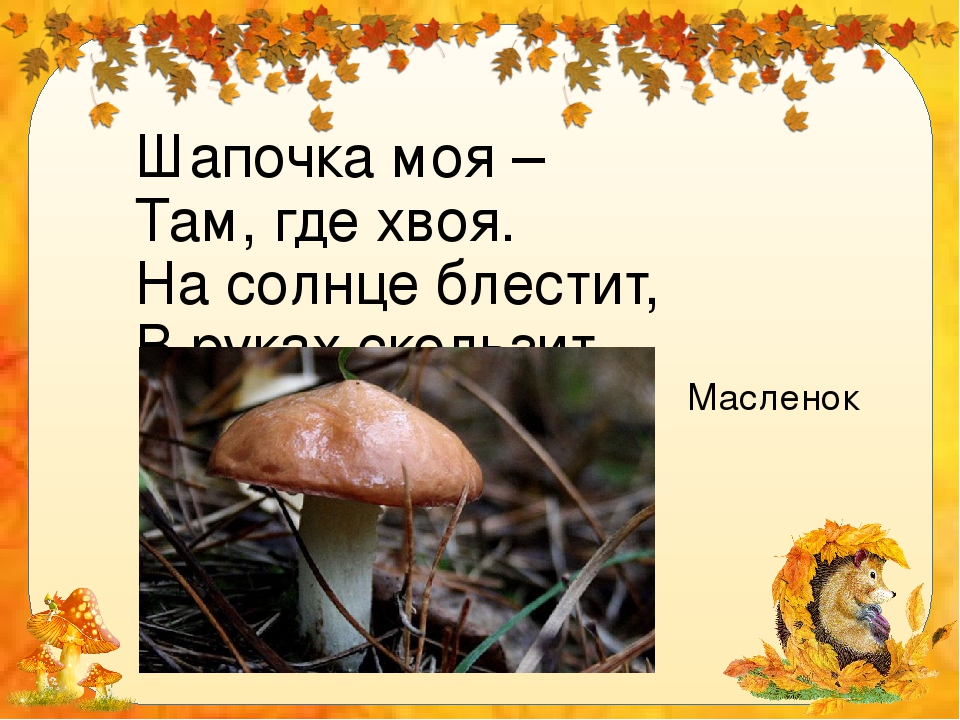 Презентация "Грибы в стихах и картинках"