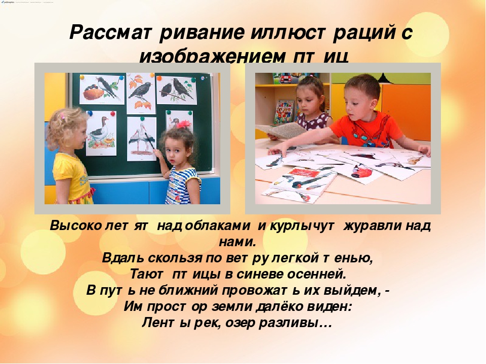 Презентация "Перелетные и зимующие птицы".
