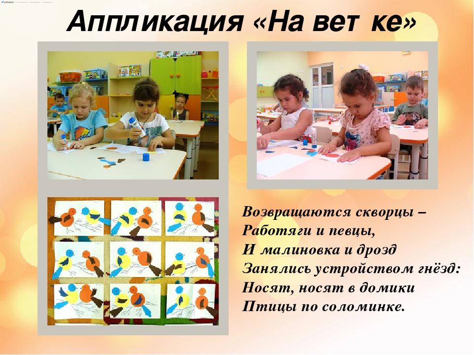 Презентация "Перелетные и зимующие птицы".
