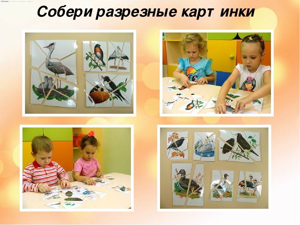 Презентация "Перелетные и зимующие птицы".