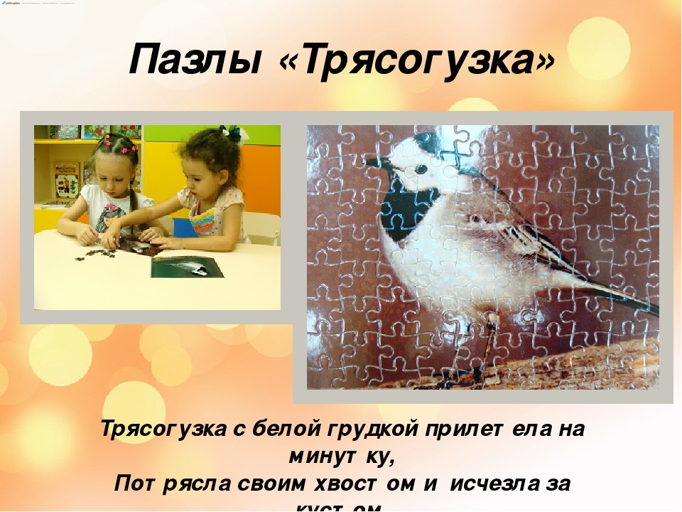 Презентация "Перелетные и зимующие птицы".