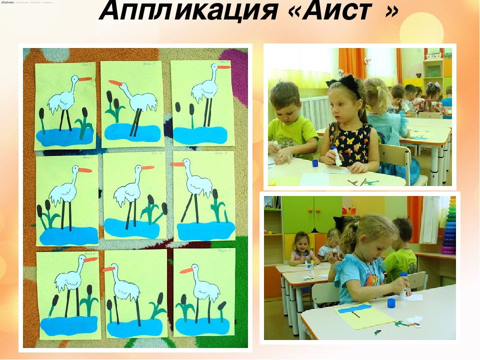 Презентация "Перелетные и зимующие птицы".