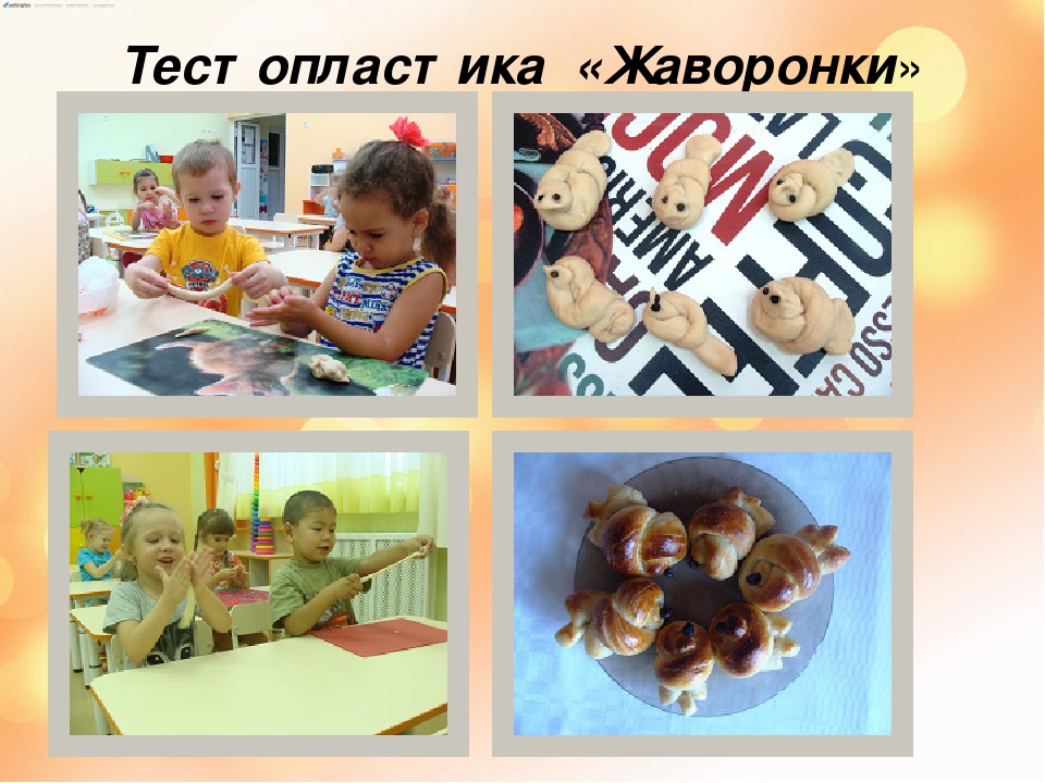 Презентация "Перелетные и зимующие птицы".