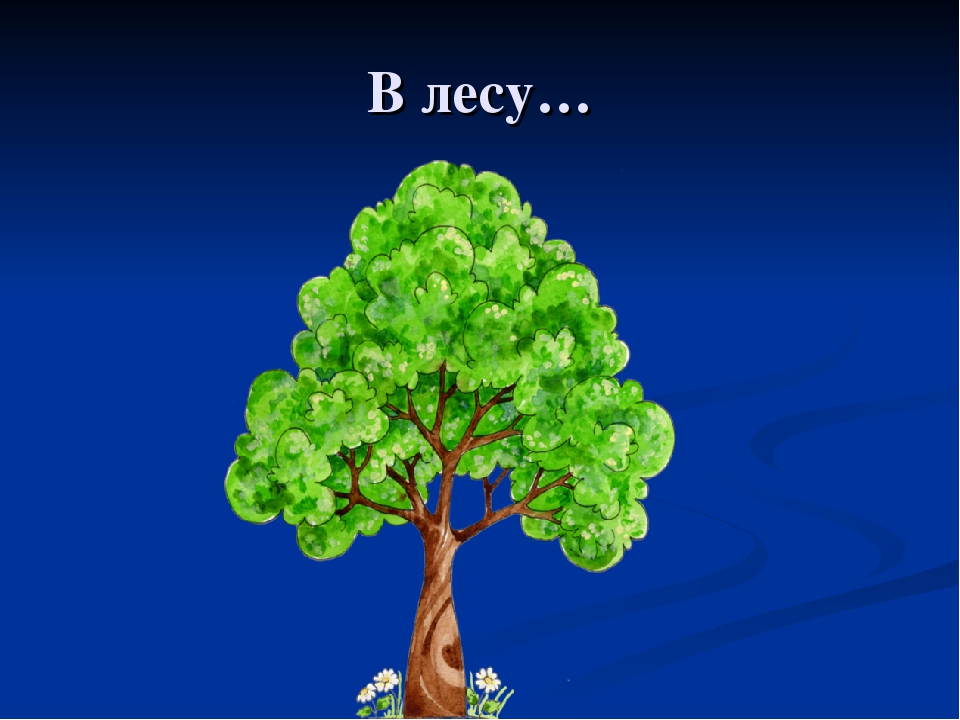 Спор воды и воздуха