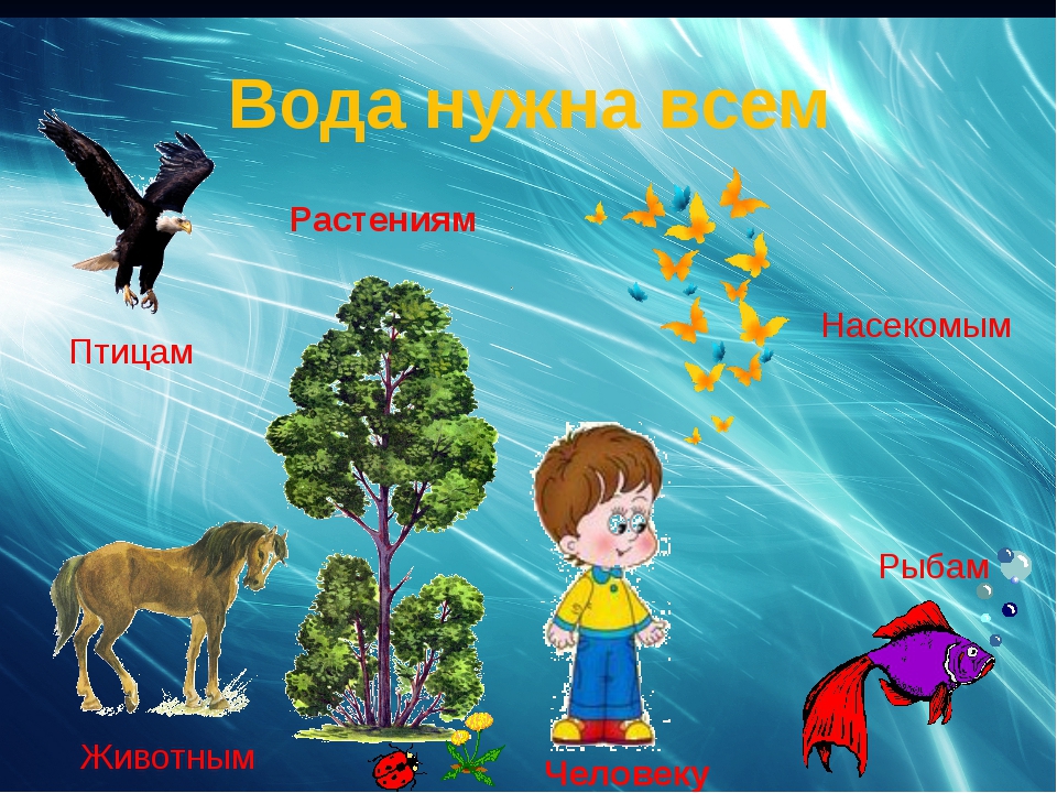 Спор воды и воздуха