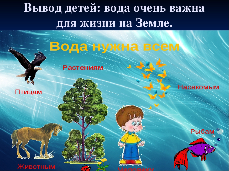 Спор воды и воздуха