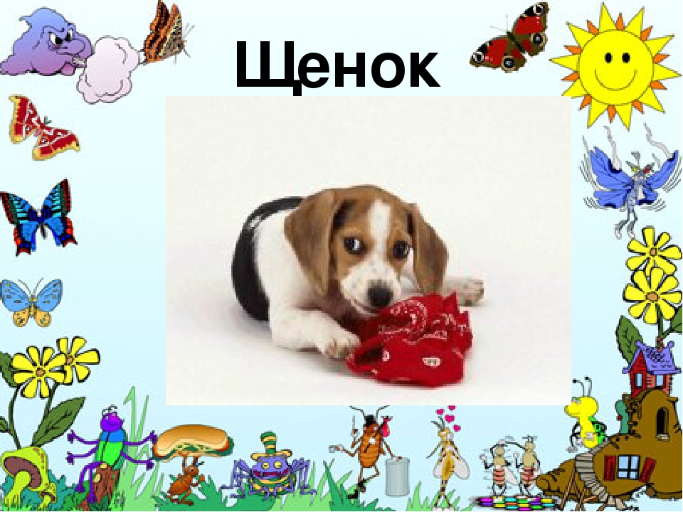 Презентация к конспекту Открытое занятие "Звуки [Ш] ,[Щ]"