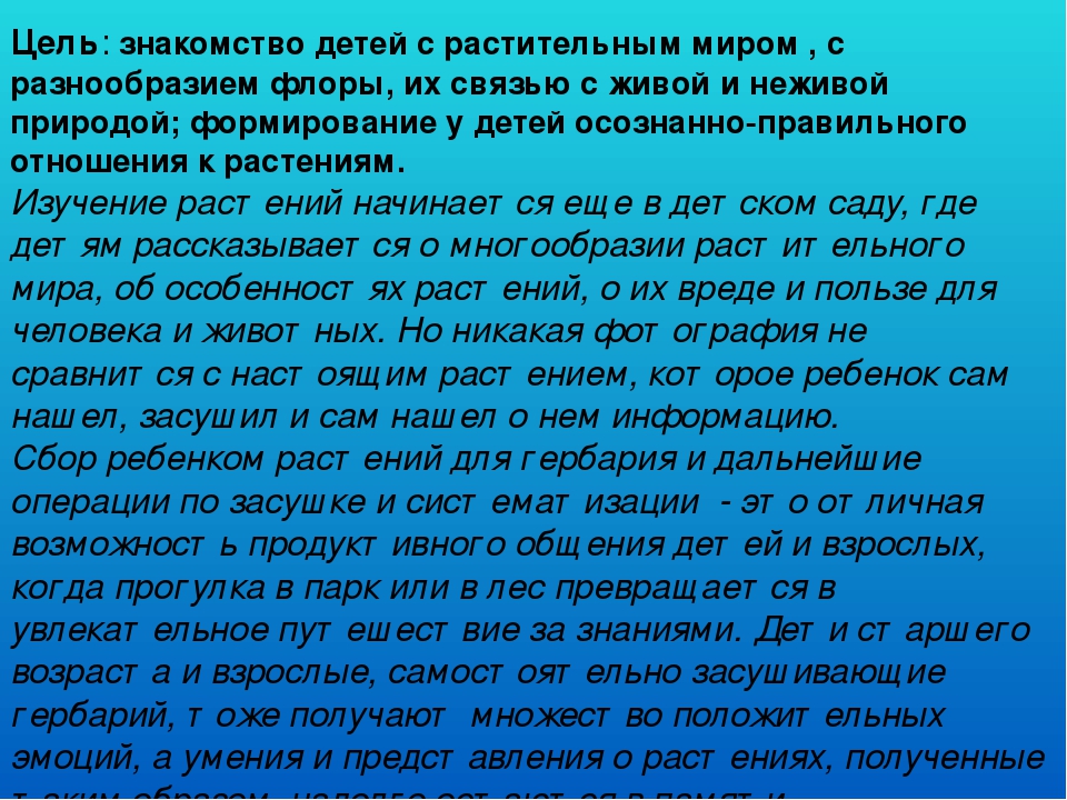 Презентация "Гербарий в работе воспитателя"