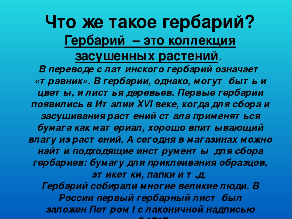 Презентация "Гербарий в работе воспитателя"