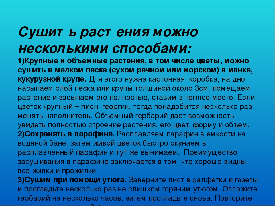 Презентация "Гербарий в работе воспитателя"