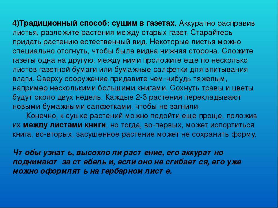 Презентация "Гербарий в работе воспитателя"