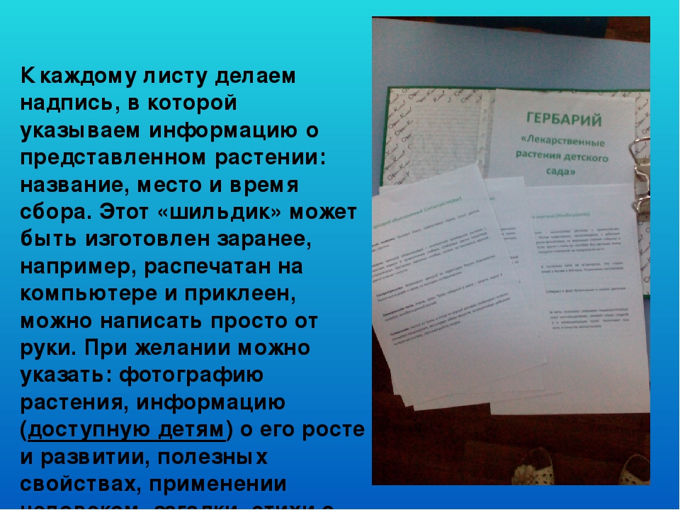 Презентация "Гербарий в работе воспитателя"