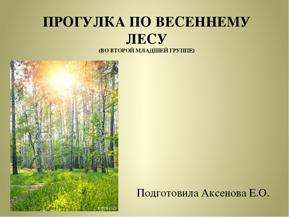 Природа леса сочинение. Прогулка по весеннему лесу. Презентация Весна в лесу. Презентация прогулка по весеннему лесу. Весенний лес для презентации.