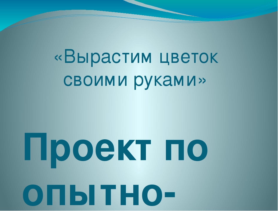 Презентация "ОТ семечка до цветка" (Средняя группа)