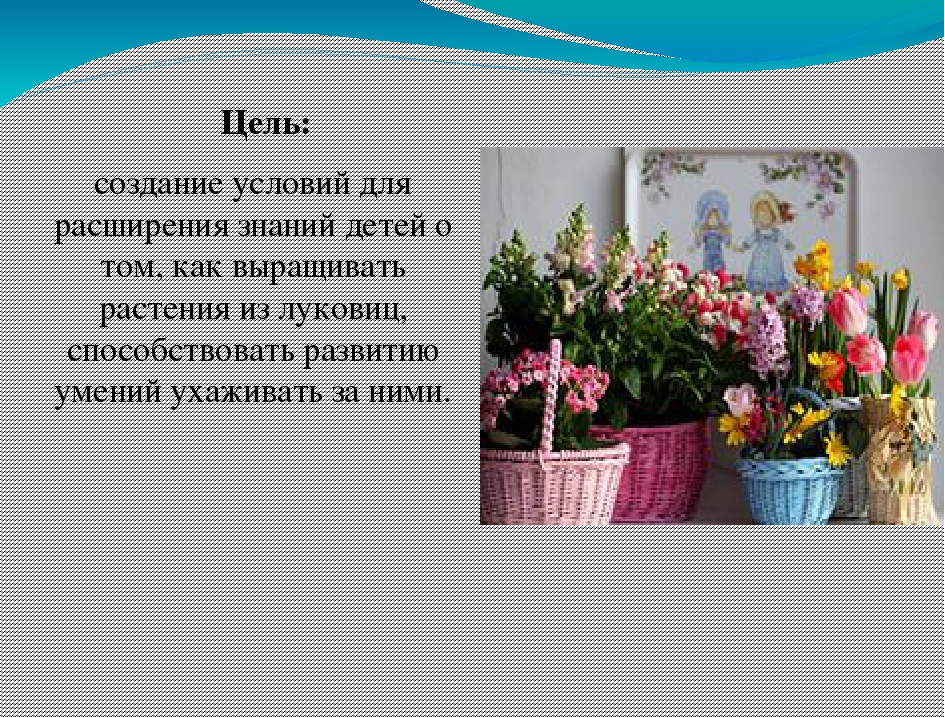 Презентация "ОТ семечка до цветка" (Средняя группа)