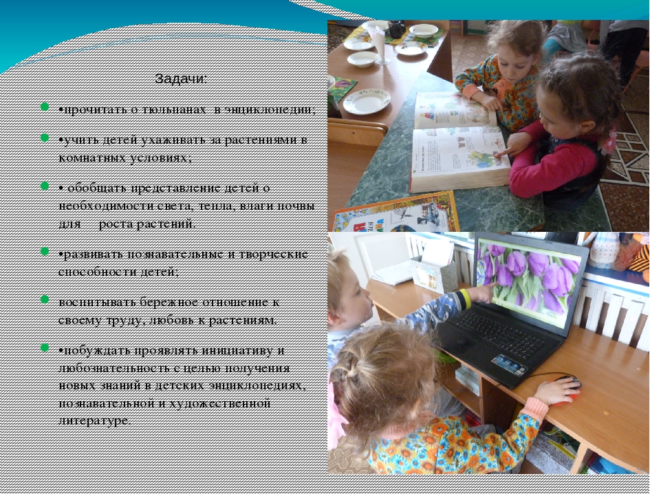 Презентация "ОТ семечка до цветка" (Средняя группа)
