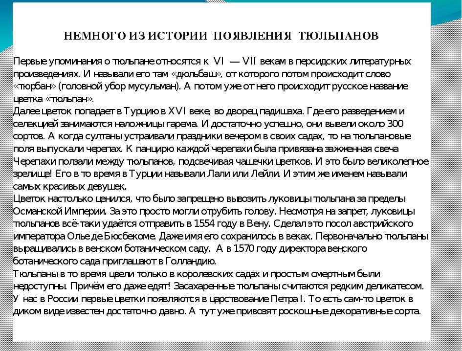 Презентация "ОТ семечка до цветка" (Средняя группа)