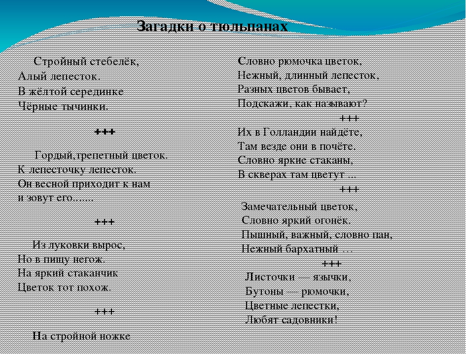 Презентация "ОТ семечка до цветка" (Средняя группа)