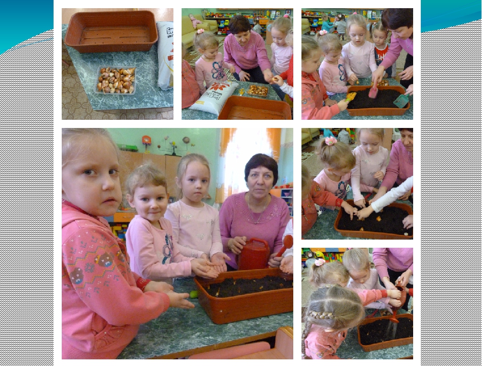 Презентация "ОТ семечка до цветка" (Средняя группа)
