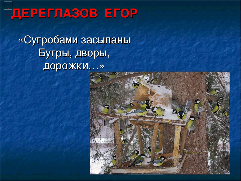 Презентация на тему "Покормите птиц зимой"
