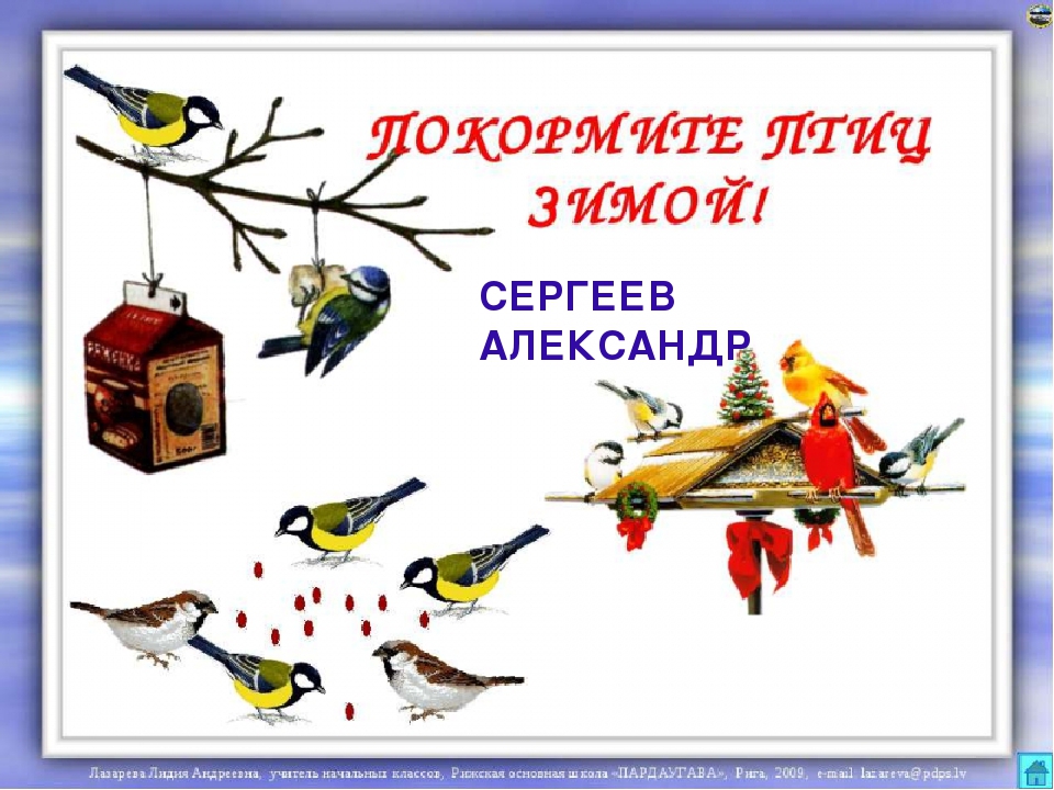 Презентация на тему "Покормите птиц зимой"