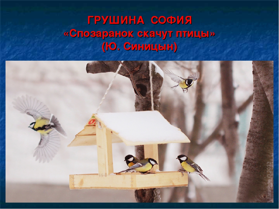 Презентация на тему "Покормите птиц зимой"