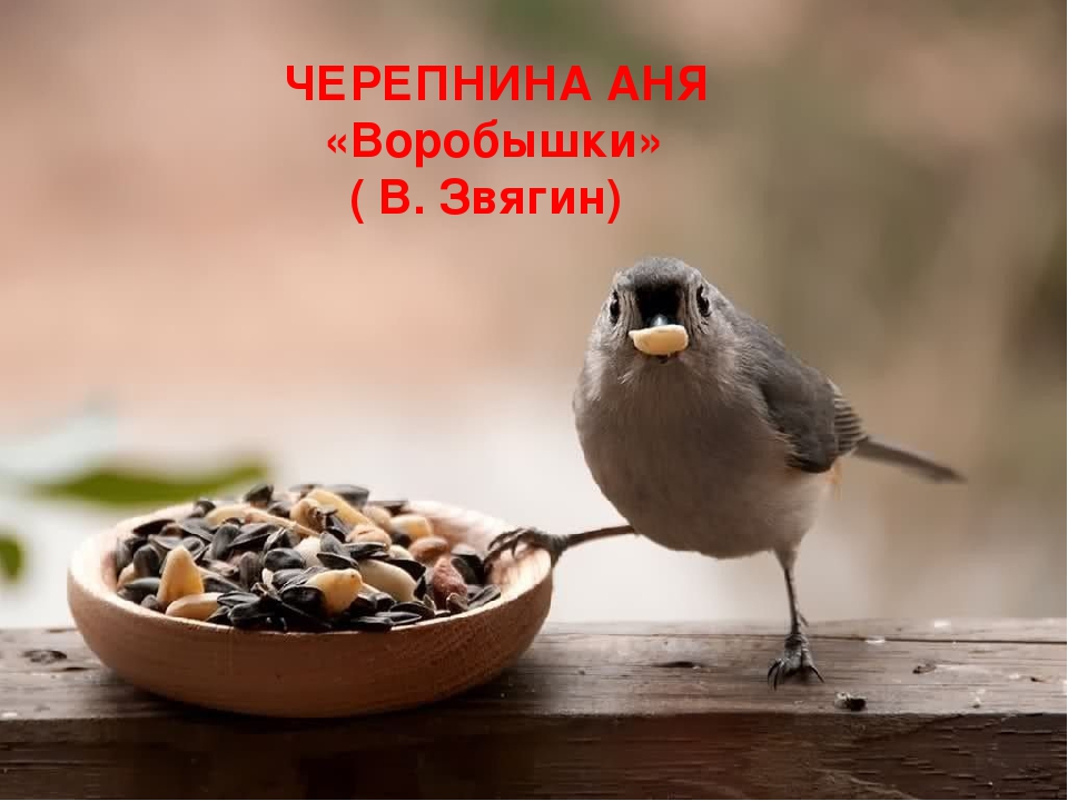 Презентация на тему "Покормите птиц зимой"