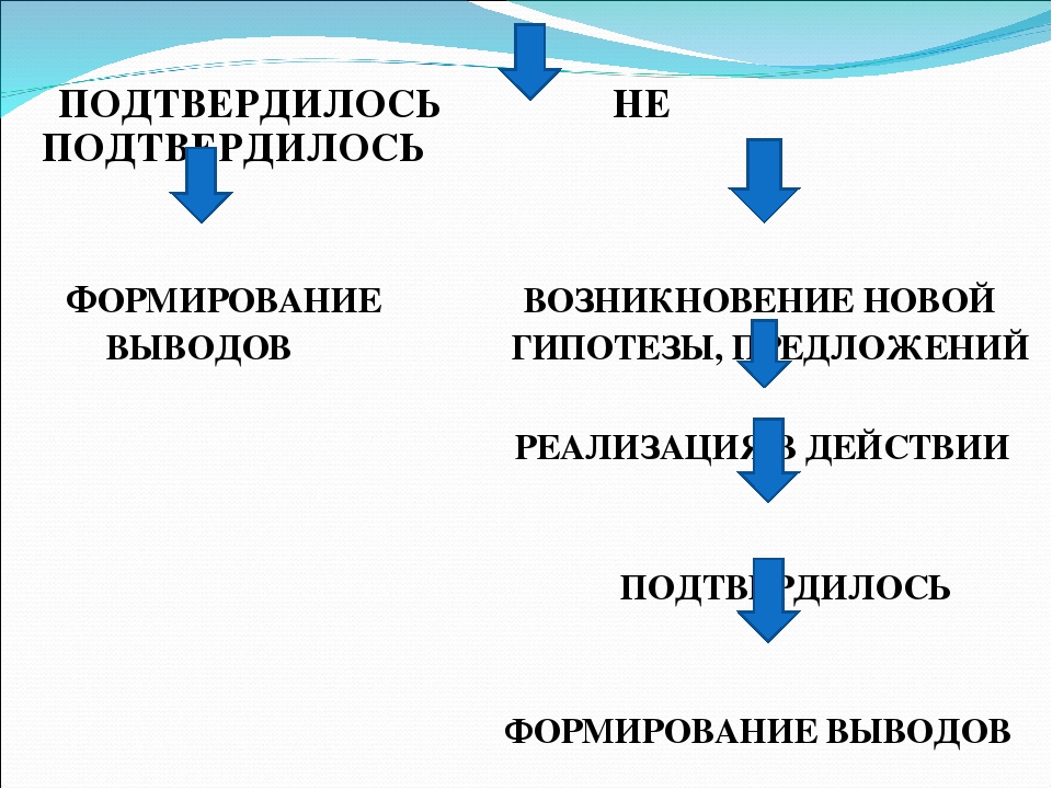 Презентация деловой игры " Научно-исследовательская академия околовсяческих наук"