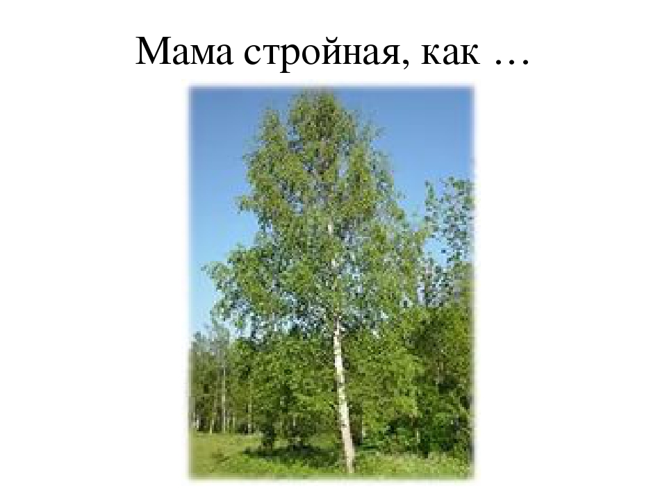 Презентация "Наша дружная семья"