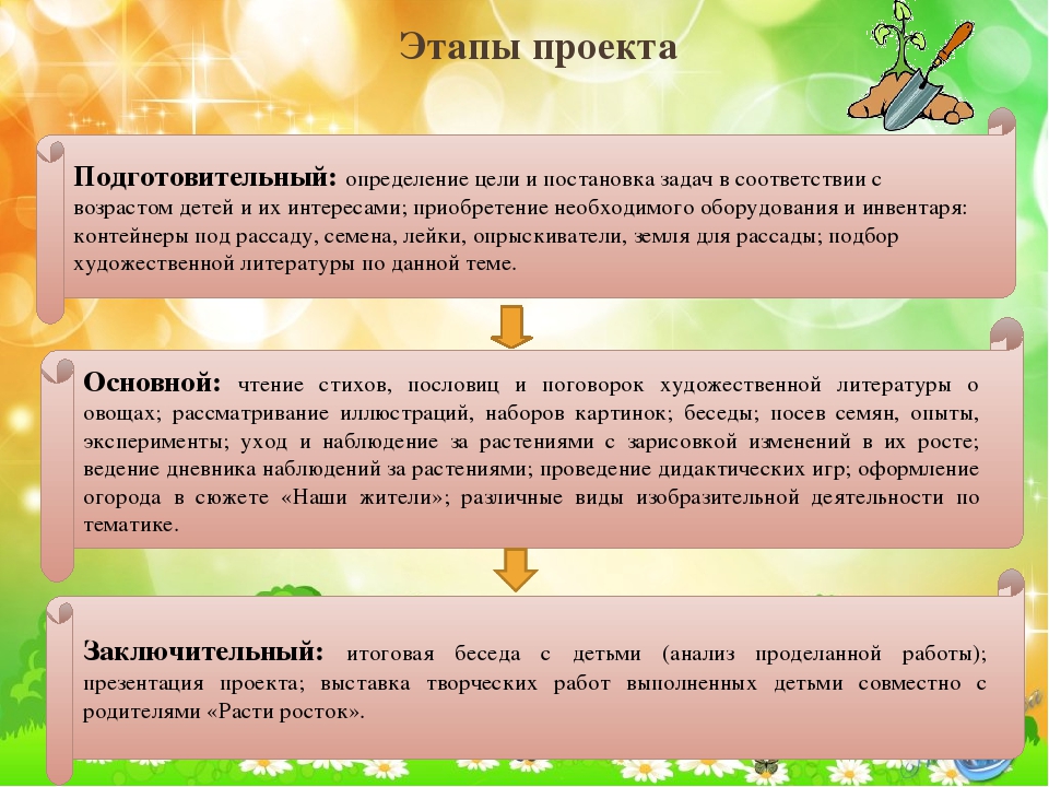 Презентация проекта в старшей группе "Расти росток"