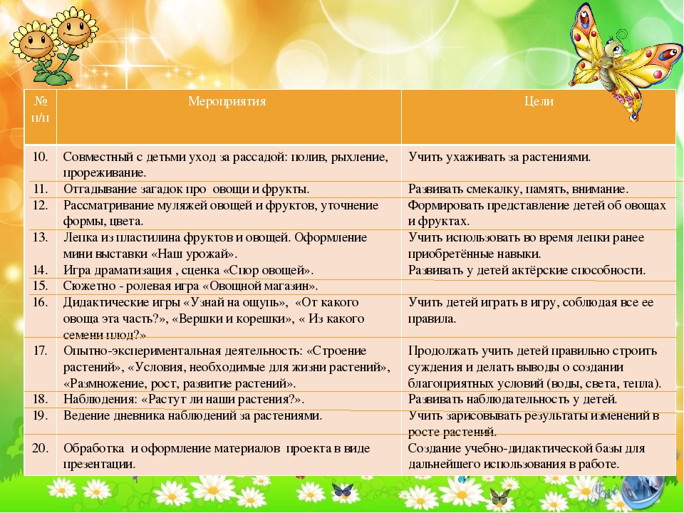 Презентация проекта в старшей группе "Расти росток"