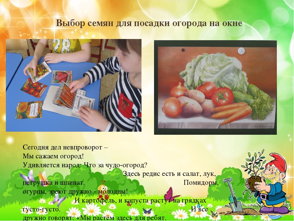 Презентация проекта в старшей группе "Расти росток"