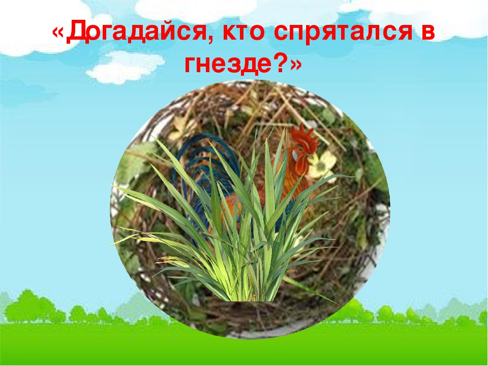 Презентация по естествознанию в средней группе "Домашние птицы"