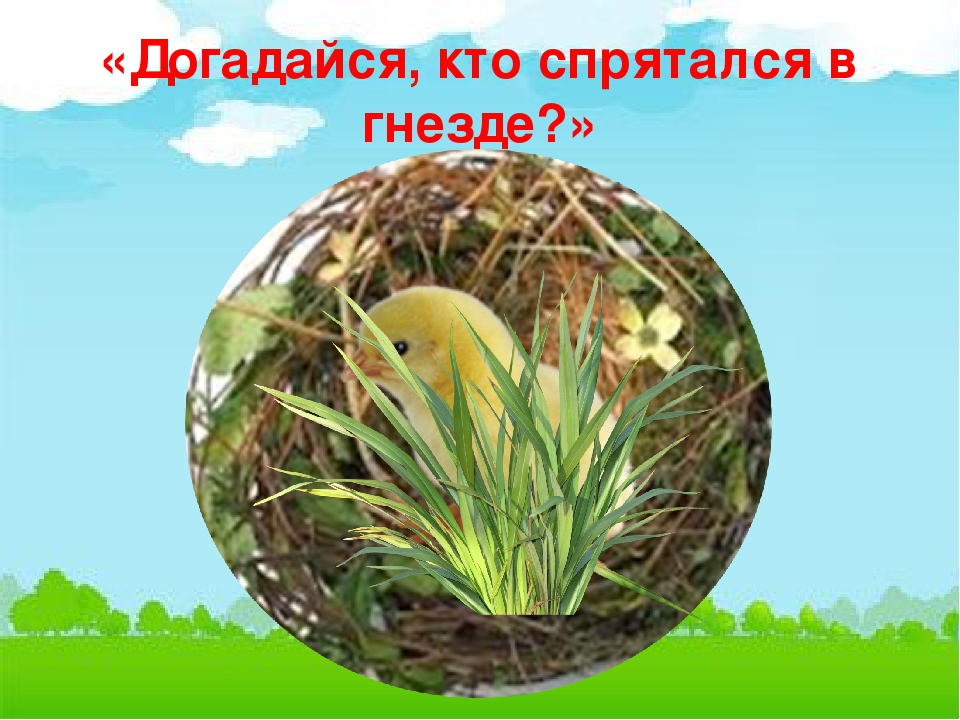 Презентация по естествознанию в средней группе "Домашние птицы"