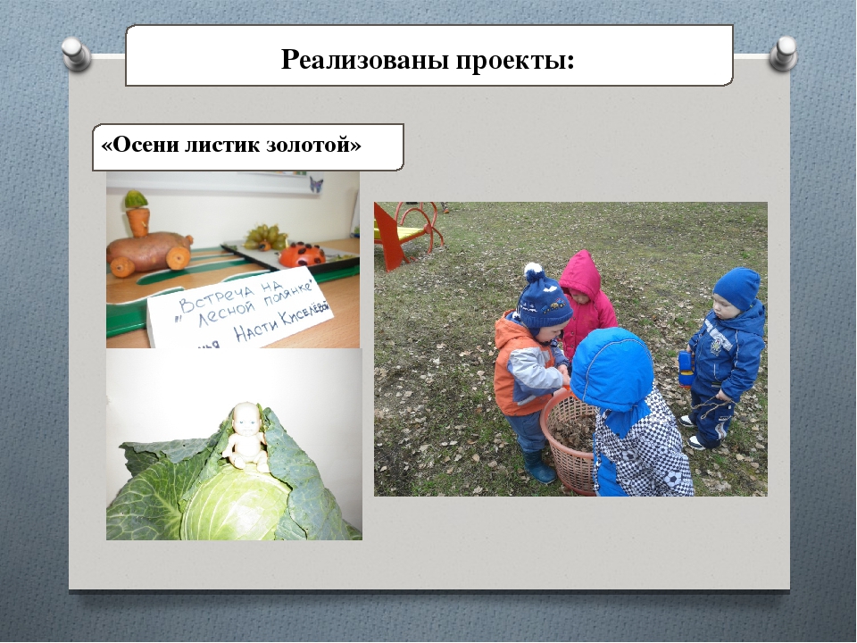 Использование проектной деятельности в работе с детьми раннего возраста