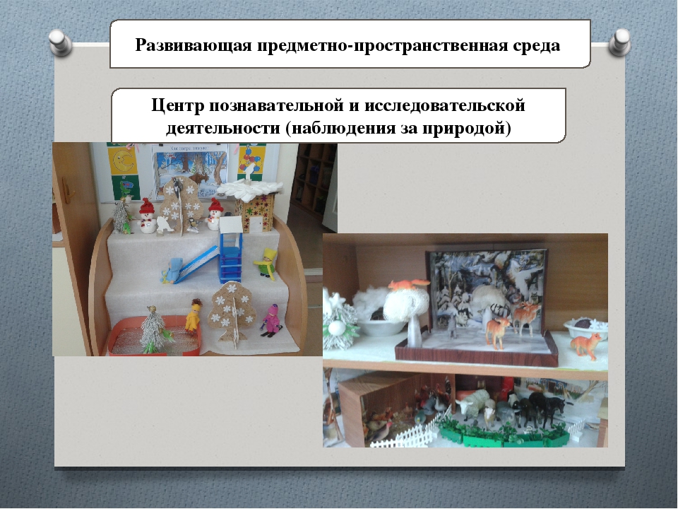 Использование проектной деятельности в работе с детьми раннего возраста