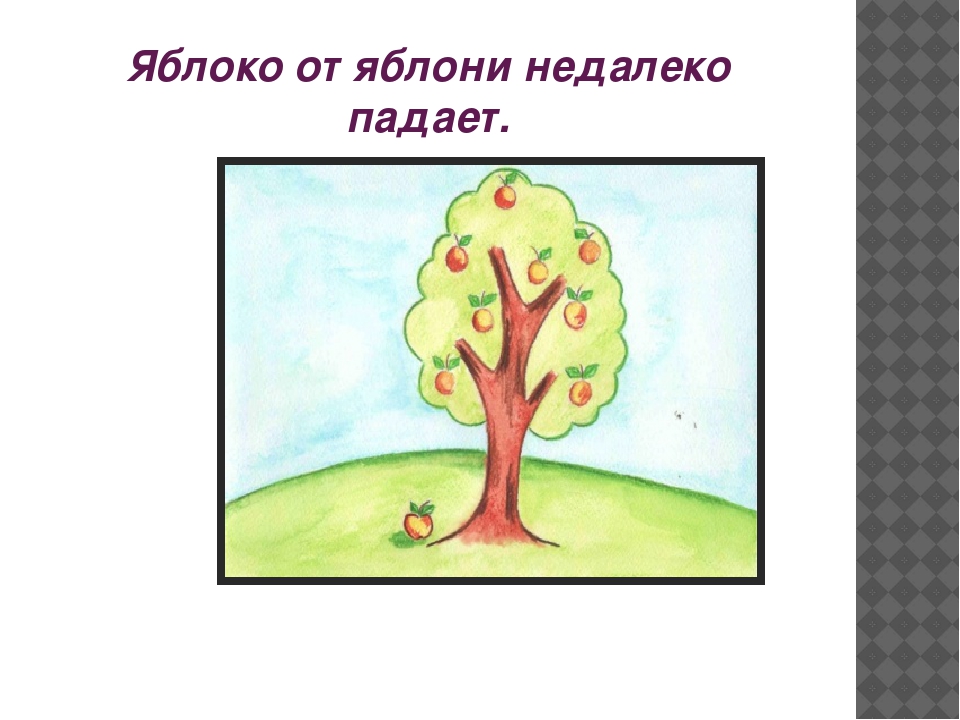 Пословицы и поговорки для дошкольнников
