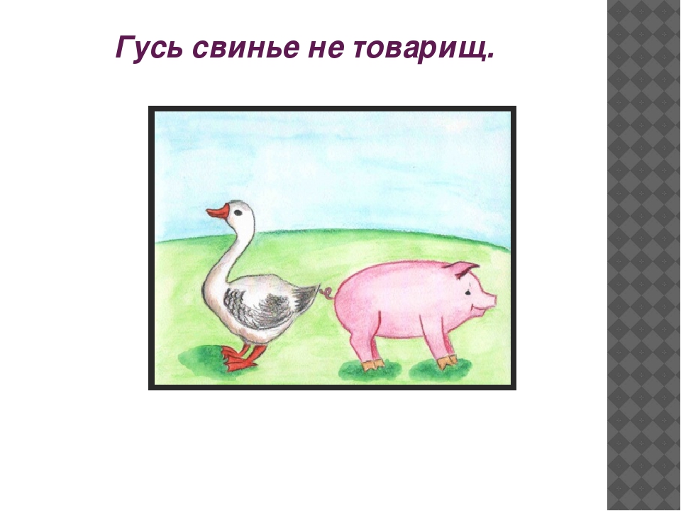 Загадка пеший не товарищ. Русь свинье не товарищ. Гусь свинье не товарищ. Кусь свинье не тоааришь. Поговорка Гусь свинье не товарищ.