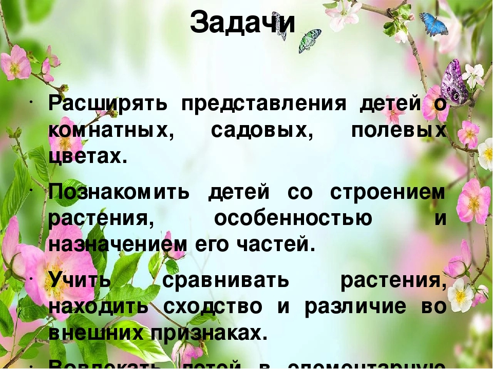 Презентация проекта "Цветы вокруг нас"