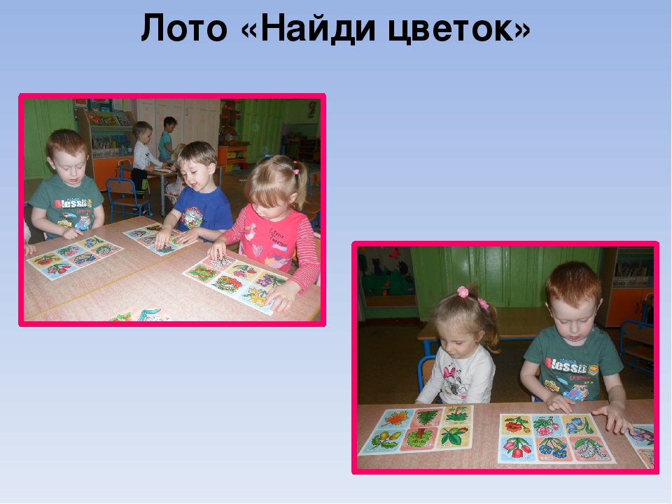 Презентация проекта "Цветы вокруг нас"