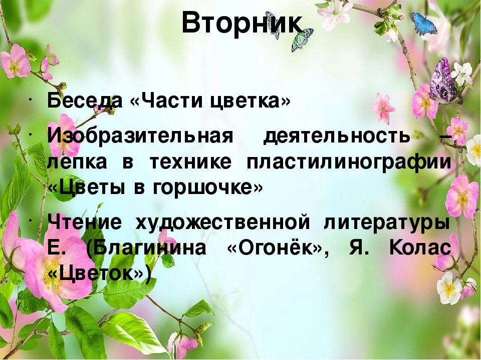 Презентация проекта "Цветы вокруг нас"