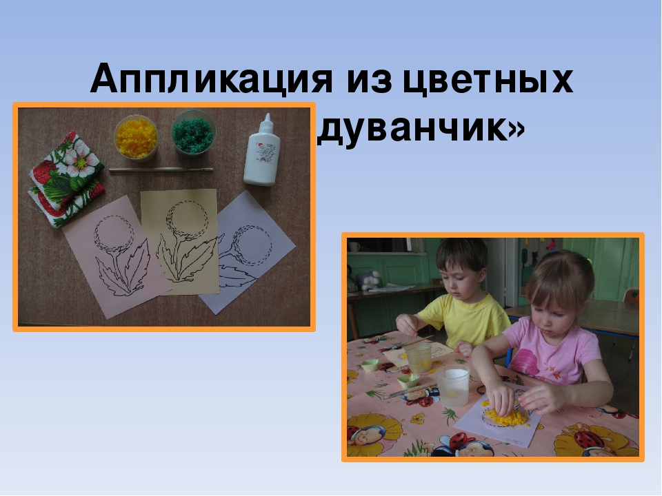 Презентация проекта "Цветы вокруг нас"