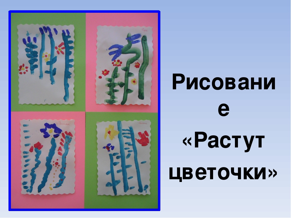 Презентация проекта "Цветы вокруг нас"