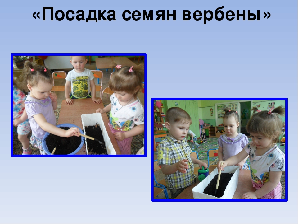 Презентация проекта "Цветы вокруг нас"