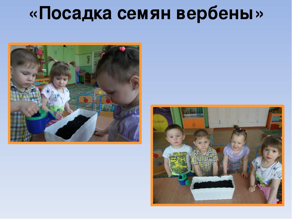 Презентация проекта "Цветы вокруг нас"