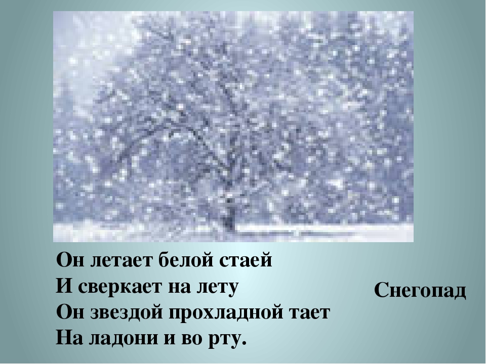 Снег летит и летит минус. Он летает белой стаей. Снег сверкает на лету. Он летит к нам белой стаей. Он летит к нам белой стаей так сверкает.